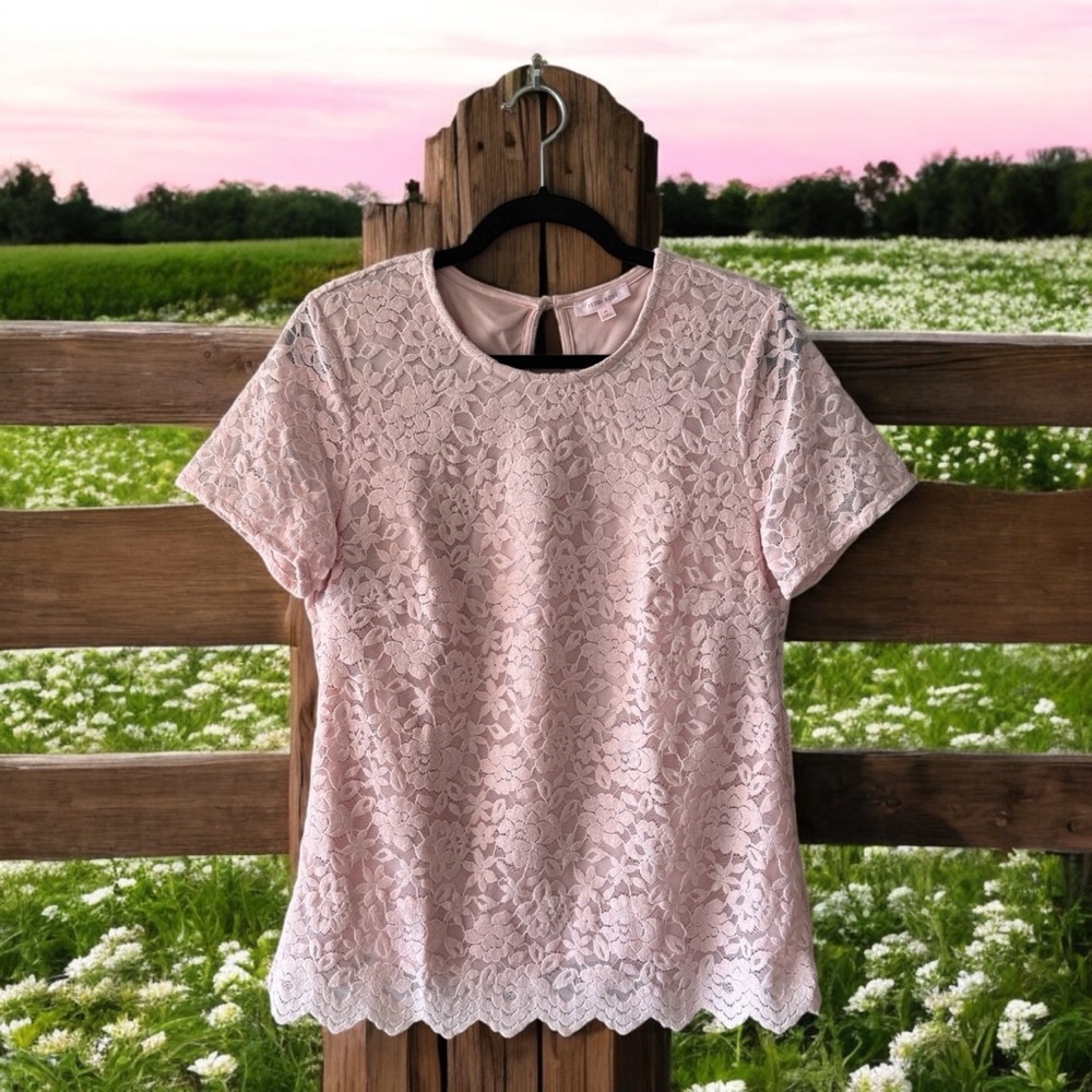 Teddi Rose Pastel Pink Lace Top with Scalloped Hem